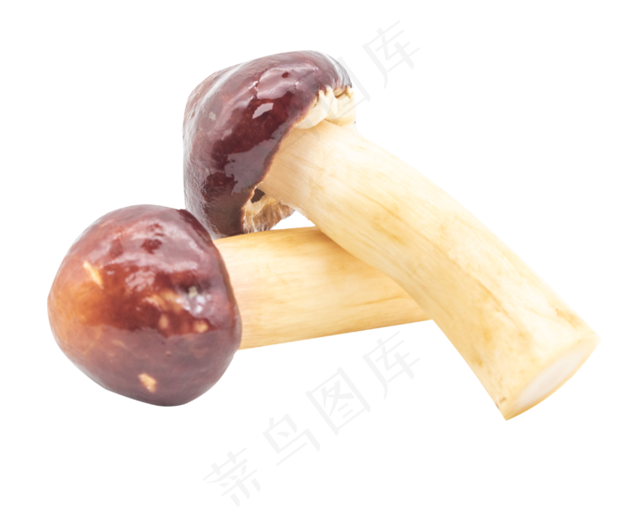 咖啡色绿色食物蘑菇