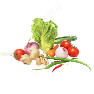 食材生菜洋葱番茄萝卜大蒜姜辣椒 食材生菜洋葱番茄萝卜大蒜姜辣椒