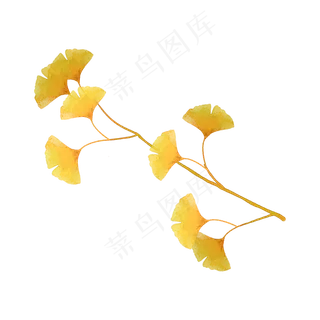 秋天银杏树枝叶