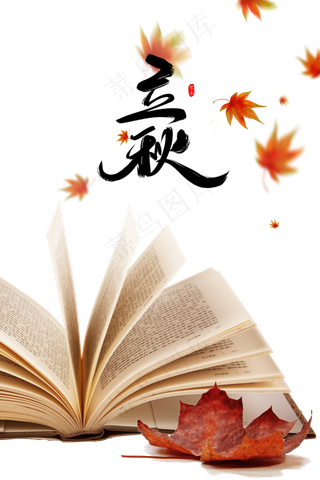 立秋书本和枫叶