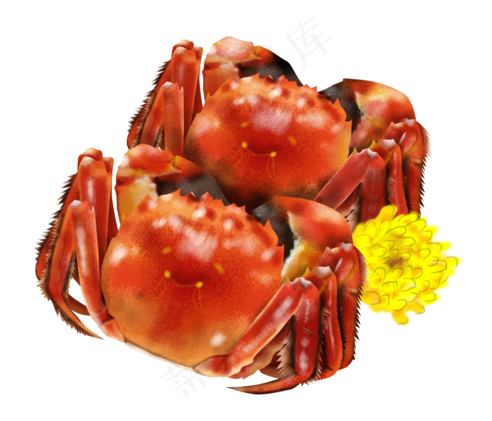 手绘插画美食大闸蟹