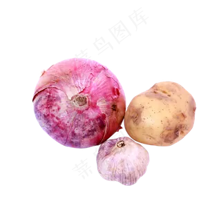 洋葱蔬菜 洋葱蔬菜