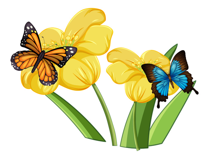 关闭在花的蝴蝶