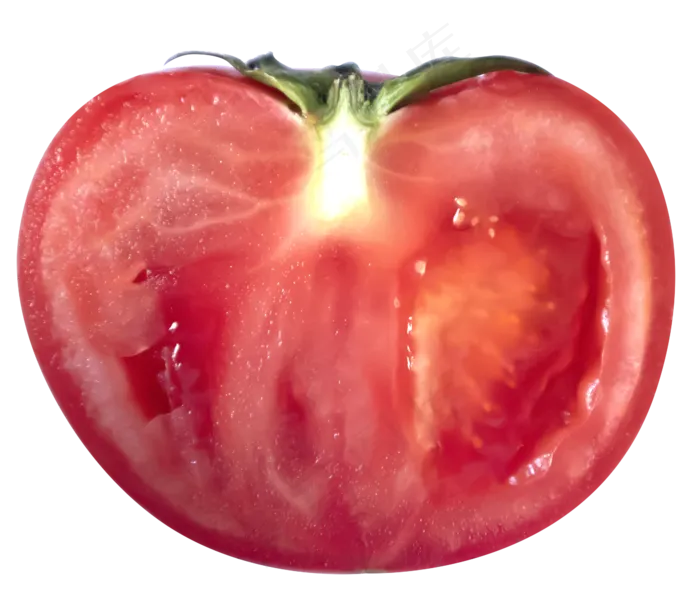 蔬菜番茄柿子(2333*2000px 300 dpi )