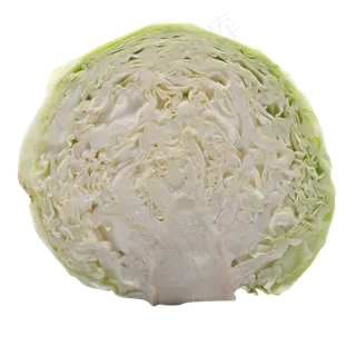 包菜蔬菜小吃 包菜蔬菜小吃