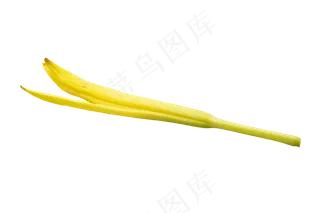 一个金针菜蔬菜