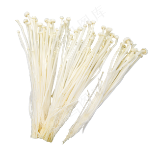 白色金针菇蔬菜