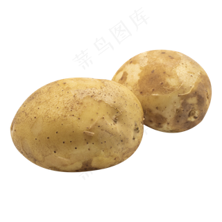 新鲜蔬菜土豆