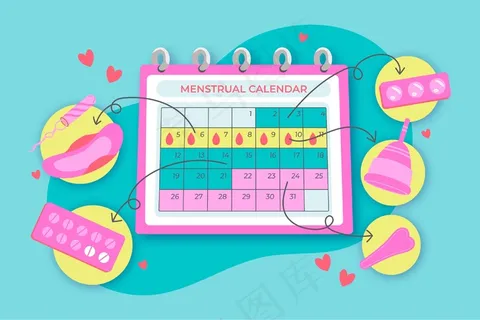 月经历概念图 月经历概念图