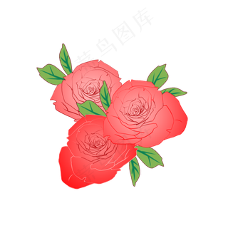 花朵花瓣玫瑰花