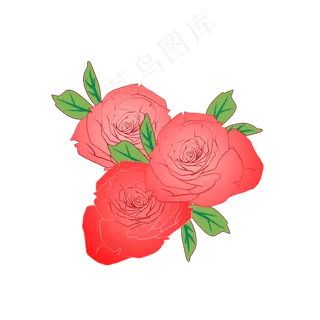 花朵花瓣玫瑰花