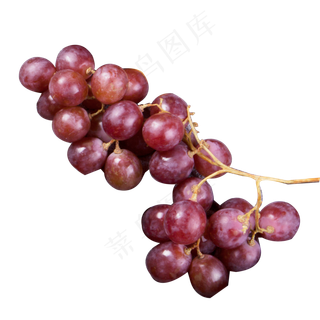 红色的葡萄免抠图