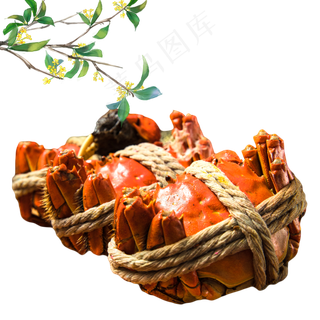 中秋中秋节大闸蟹桂花