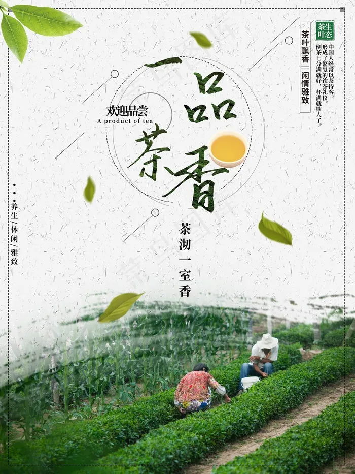 新茶上市宣传海报psd模版下载