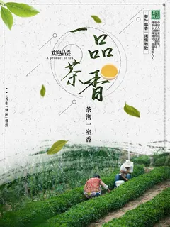 新茶上市宣传海报