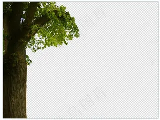 免扣素材绿色植物大树1