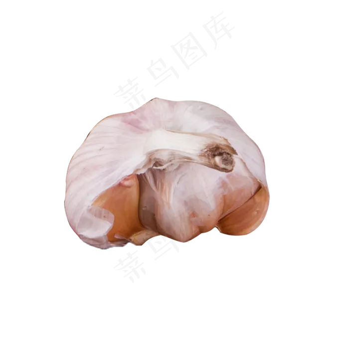 灰色真实大蒜食物元素(2000X2000(DPI:300))psd模版下载
