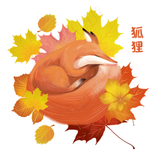 秋天动物睡觉狐狸素材