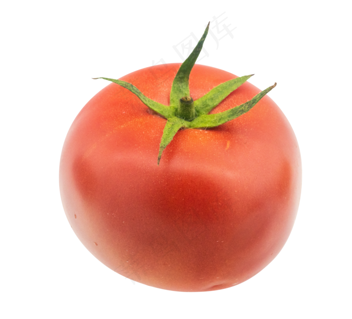 红色椭圆西红柿