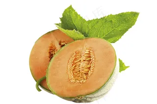 哈密瓜 水果