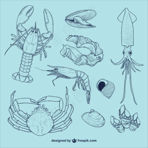 海洋生物插图