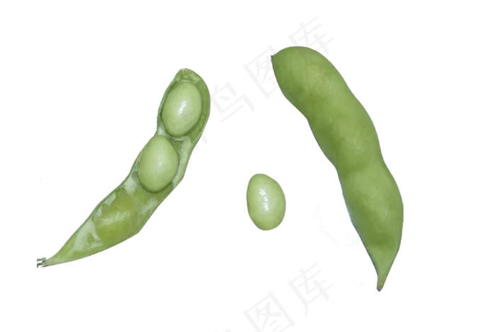 新鲜绿色蔬菜青豆(3872*2592px 300 dpi )