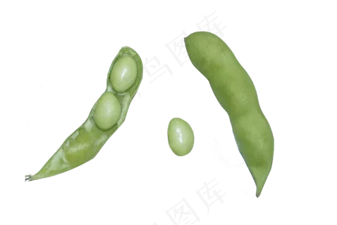 新鲜绿色蔬菜青豆