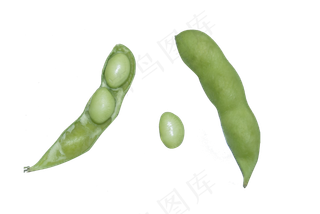 新鲜绿色蔬菜青豆