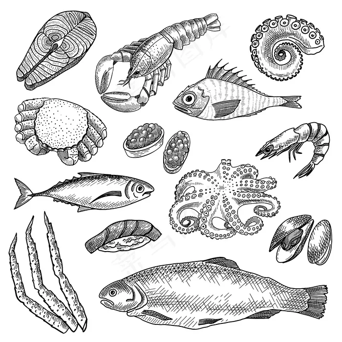 海鲜素描套装eps,ai矢量模版下载
