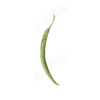 一根青椒(png免抠) 一根青椒(png免抠)