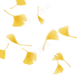 银杏叶落叶秋天免扣