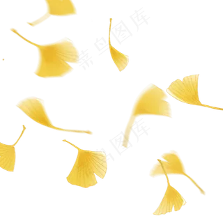 银杏叶落叶秋天免扣