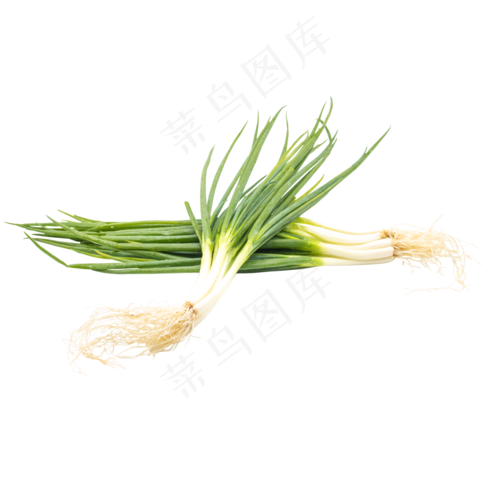绿色蔬菜小葱(4500*4500px 300 dpi )