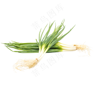 绿色蔬菜小葱
