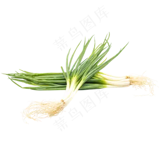 绿色蔬菜小葱
