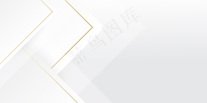 豪华白色背景，金色线条效果