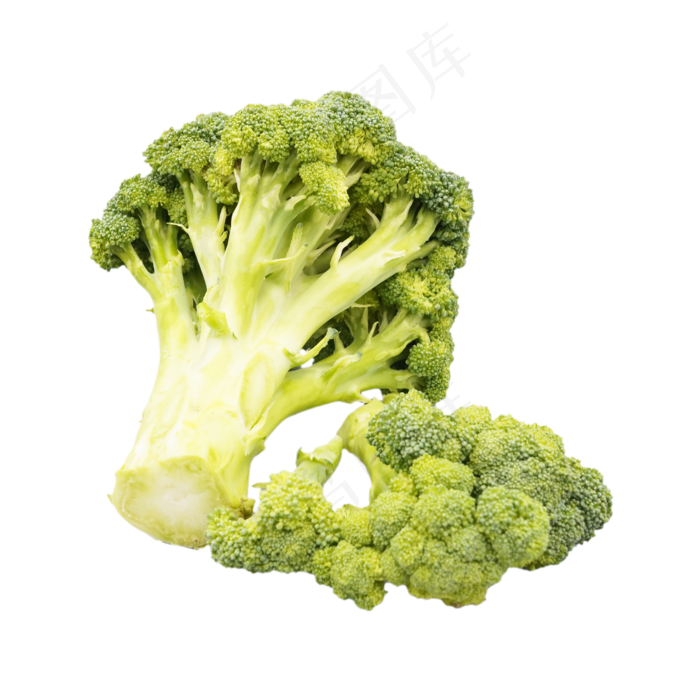 餐饮食材西兰花(2500X2500(DPI:300))