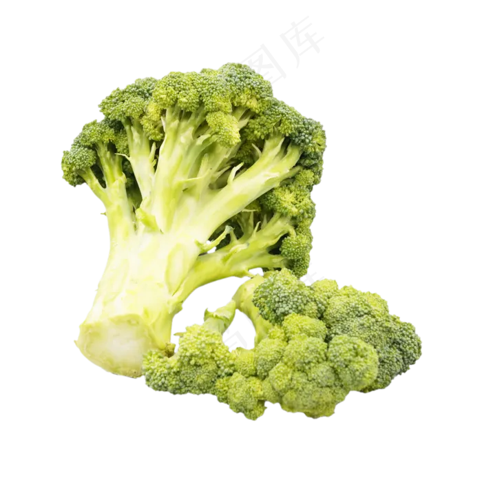 餐饮食材西兰花(2500X2500(DPI:300))