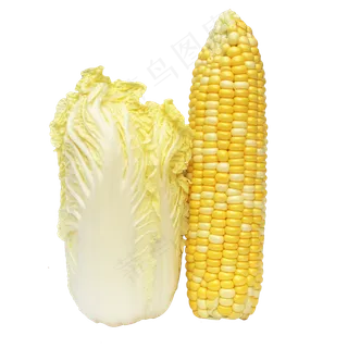 娃娃菜玉米蔬菜组合