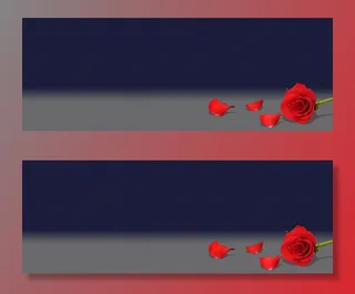 淘宝双十一护肤高端大牌黑色banner