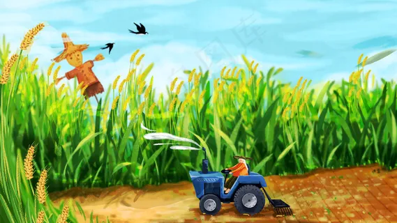 芒种稻田勤劳的农民