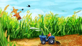 芒种稻田勤劳的农民