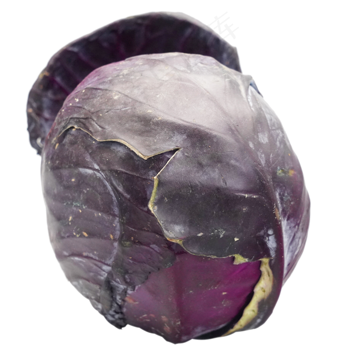 紫色蔬菜紫菜