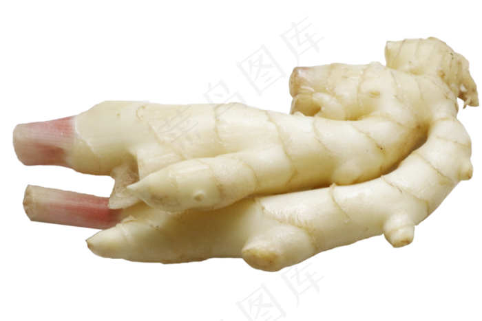 蔬菜生姜(3000*2000px 300 dpi )