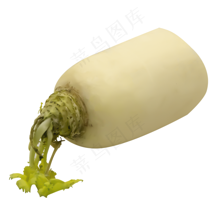 蔬菜白色萝卜