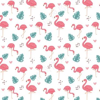 五彩火烈鸟图案