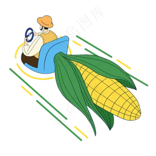 立秋农民收获大玉米