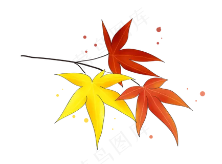 立秋手绘香山枫叶