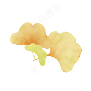 传统节气立秋银杏叶