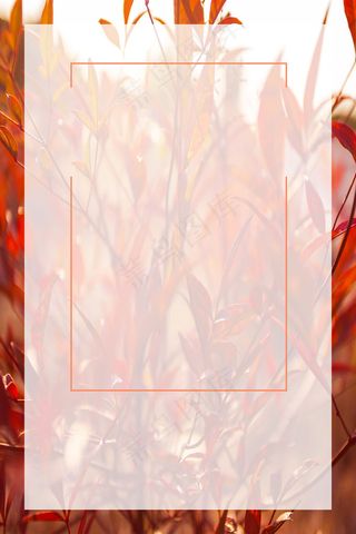 橘红色秋冬服装促销枫叶